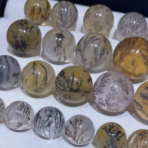 Collection level-Smoke stone crystal(branch crystal)