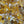 Collection level-Yellow inclusion quartz