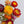 Dried chrysanthemum