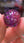Collection level-Purple-red Super Seven